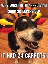 We did not find results for: Bad Jokes Thanksgiving Edition Travels With Choppy