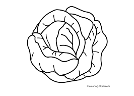 Parents and teachers love these because you can print as many as you need. Cabbage Vegetable Coloring Page For Kids Printable Vegetable Coloring Pages Vegetable Drawing Coloring Pages