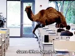 Every wednesday, as the story goes, the video got reshared. Geico Camel Gifs Tenor
