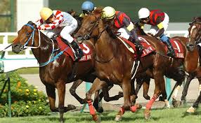 アイビスサマーダッシュは、日本中央競馬会 (jra) が新潟競馬場で施行する中央競馬の重賞 競走 (giii) である。 競走名のアイビス (ibis) は、新潟県の県鳥トキの英称。新潟競馬場のスタンドにも「アイビススタンド」の名称で使用されている Des5t87lxpvhym