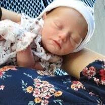 Havenly Anne Barry Obituary