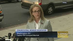 Representative Elect Madeleine Dean On The 116th Congress C Span Org