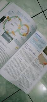 Check spelling or type a new query. ð'¸ð'½ð'¾ð'¶ On Twitter Selling My Campbell Biology Book Hii Luv Aku Jual Campbell Bahasa Indonesia Edisi 8 Jilid Kedua Harganya Bebas Terserah Kalian Aja Start 150k Ya Ini Sistemnya Auction