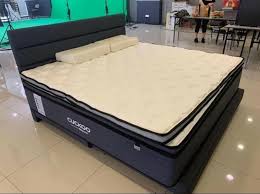 Btd is not a requiem stand, as on the anime and manga killer queen: Tilam Cuckoo X Napure Mattress Info Harga Tunai Ansuran Servis