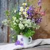 Mano, foglia, fiore, petalo, verde, botanica, blu, flora, fiore di campo, fiori, non ti scordar di mé, dita, fotografia macro, pianta. Https Encrypted Tbn0 Gstatic Com Images Q Tbn And9gcqeptxasqnme9prbh Hisv07yiagf74pjttq9orvsvb7xchmdbn Usqp Cau