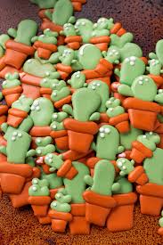 I used this video to learn how to make my carnation cactus flowers: How To Make Cactus Candy Decorations With A Video The Bearfoot Baker