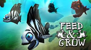 Find the best fishing wallpapers on getwallpapers. Feed And Grow Fish Free Game Download Full