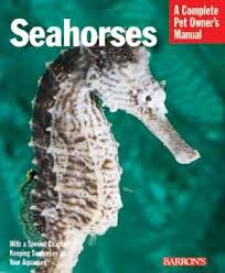 Amazon Com Barrons Seahorses Seahorses Pet Supplies