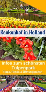 Werkelijk alles staat in bloei. Keukenhof Anreise Tickets Offnungszeiten Des Tulpenparks Holland Amsterdam Travel Amsterdam Vacation Amsterdam Itinerary