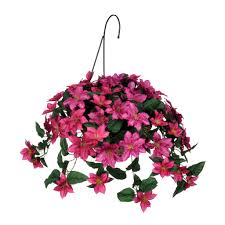 Word origin latin (also denoting the periwinkle), from greek klēmatis, from klēma 'vine branch'. Rosalind Wheeler Artificial Clematis Hanging Basket Wayfair