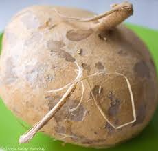 This root veggie is rich in fiber (6 grams per cup) and provides 40% of the recommended daily intake of vitamin c. Jicama Facts Hi Ku Muh Healthyhappylife Com