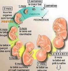 images?q=tbn:ANd9GcT4SKSukXLBQJfFLuzTpnJ