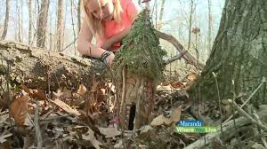 Send fresh flowers from local newaygo florists today! Take A Walk Through An Enchanted Forest