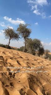 صور بر مع عبارات ضيم In 2021 Country Roads Instagram Story Instagram