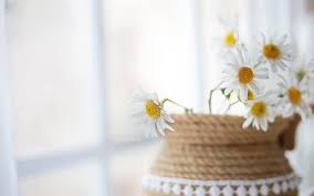 Common white flowers in bouquets. Wallpaper White Flowers Plants Yellow Basket Spring Art Flower Bouquet Wedding Cake 1920x1200 Wallpapermaniac 4437 Hd Wallpapers Wallhere