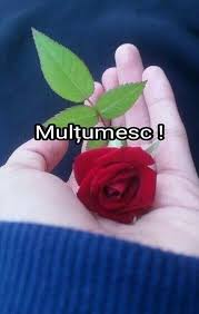 Viața noastră devine o oglindă a superficialității în care am. 100 Multumesc Ideas MulÈumesc Citate De MulÈumire FelicitÄri