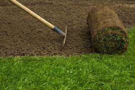 Many outdoor landscaping and design, lawn mowing and tree trimming companies will likely accept some form of digital payment instead of cash or check. Lawn Care Maintenance Lawn Maintenance Companies Orlando Fl
