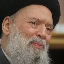 السيد محمد حسين فضل الله