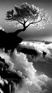 Beautiful Black And White Nature Background 200 Beautiful Black And White Photography Ideas Black And White Tree Black Background Painting Black And White Photography