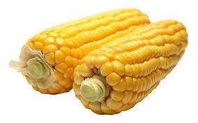 Corn Png Image Corn Png Images Sweet Corn