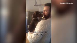 Jul 04, 2021 · among mylo's canine friends is dodger, who belongs to captain america actor chris evans. Avengers Chris Evans Snuggles Aly Raisman S Dog In Adorable Video Metro News