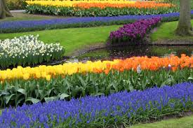 You can use them for commercial and noncommercial purposes. Colorful Flower Garden Free Stock Photo Public Domain Pictures