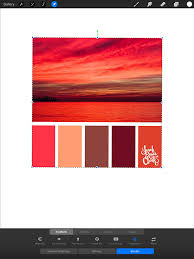 Watercolor pro set for procreate. How To Create Color Palettes In Procreate Kelly Leigh Creates