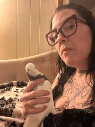 How to help a pigeon with a crossbeak in Baltimore, MD?