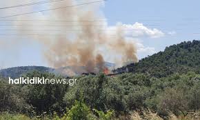 Διαβάστε πλήρη άρθρα, παρακολουθήστε βίντεο, περιηγηθείτε σε χιλιάδες τίτλους και πολλά άλλα σχετικά με το θέμα χαλκιδική, χρησιμοποιώντας την εφαρμογή ειδήσεις google. Xalkidikh Ypo Elegxo H Fwtia Sth Si8wnia Pics Newsbomb Eidhseis News