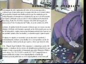 Dr. (PhD) Miguel Gallardo Tel. (+34) 902998352 PERITO ...