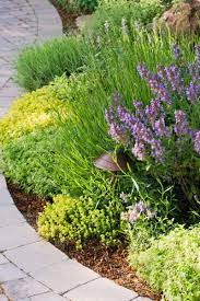 Gorgeous Garden Border Design Ideas For Any Yard In The West Sunset Landscaping With Rocks Garden Borders Beautiful Flowers Garden