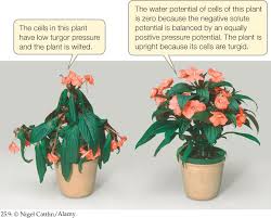 Maybe you would like to learn more about one of these? Hillis2e Ch25