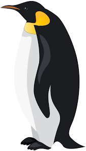 Arctic Penguins Clipart