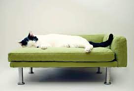 61 results for cat chaise. Modern Pet Bed Chaise Lounge Chair Cat Bed Small Dog By Modpet 145 00 Pet Chaise Lounge Modern Pet Beds Modern Pet Furniture