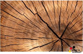 Kostenlose lieferung an den aufstellort sowie kostenlose. Matches21 Kuchenlaufer Teppichlaufer Teppich Laufer Baumstamm Holzmaserung Braun 50x80x0 4 Cm Maschinenwaschbar Kinderzimmer Baby Suenaacampo Com