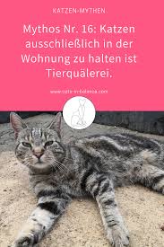 Mythos Katzen Ausschliesslich In Der Wohnung Zu Halten Ist Tierqualerei In 2020 Katzen Katzen Zeug Wohnungskatzen