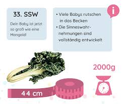 33 Ssw Schwangerschaftswoche