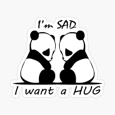 Sad Panda Want A Hug , I want Hug funny T-Shirt
