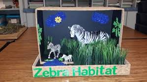 Zebra photos google search these pictures of this page zebra diorama for 3rd grade diorama kids, african elephant habitat, diorama. Zebra Habitat Habitats Projects Diorama Kids Kindergarten Projects