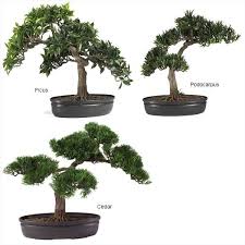 Cut coco palm fibre or fly screen to size that fits the bonsai pot. How To Make Artificial Bonsai Trees Ehow Bonsai Tree Indoor Bonsai Tree Bonsai Tree Care
