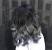 Short Shoulder Length Grey Ombre Hair