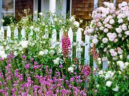 Check spelling or type a new query. Best Plants For A Cottage Garden This Old House