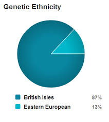 Ancestry Dna Yay Or Nay Jessica Jewett