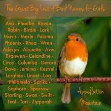 British surnames beginning with 'brid'. The Great Big List Of Bird Names For Girls Appellation Mountain Girl Names Unusual Baby Names Cute Pet Names