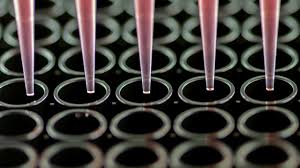 Mechanisms of cell cycle control characteristics of cancer cells detection, production and function of : Adding Depth To Cell Culture Science Aaas