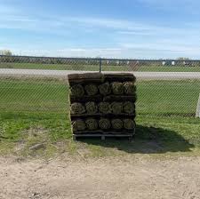 Maybe you would like to learn more about one of these? Al Sod Sun Or Shade Sod