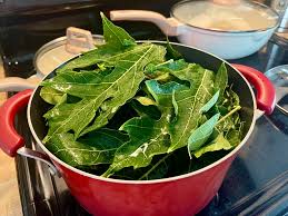 Papaya leaf tea health benefits