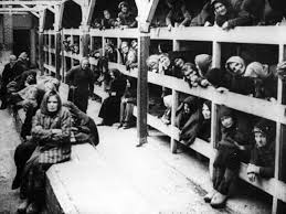 Image result for holocaust photos