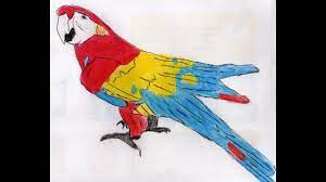 It's always a matter of using primary colors that can be blended. Coloring A Drawing Using The Primary Colors Youtube