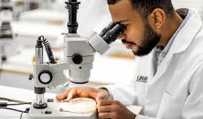 Annual Conference 2023